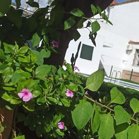 Casa Turquesa Villa Valencina de la Concepción Kültér fotó