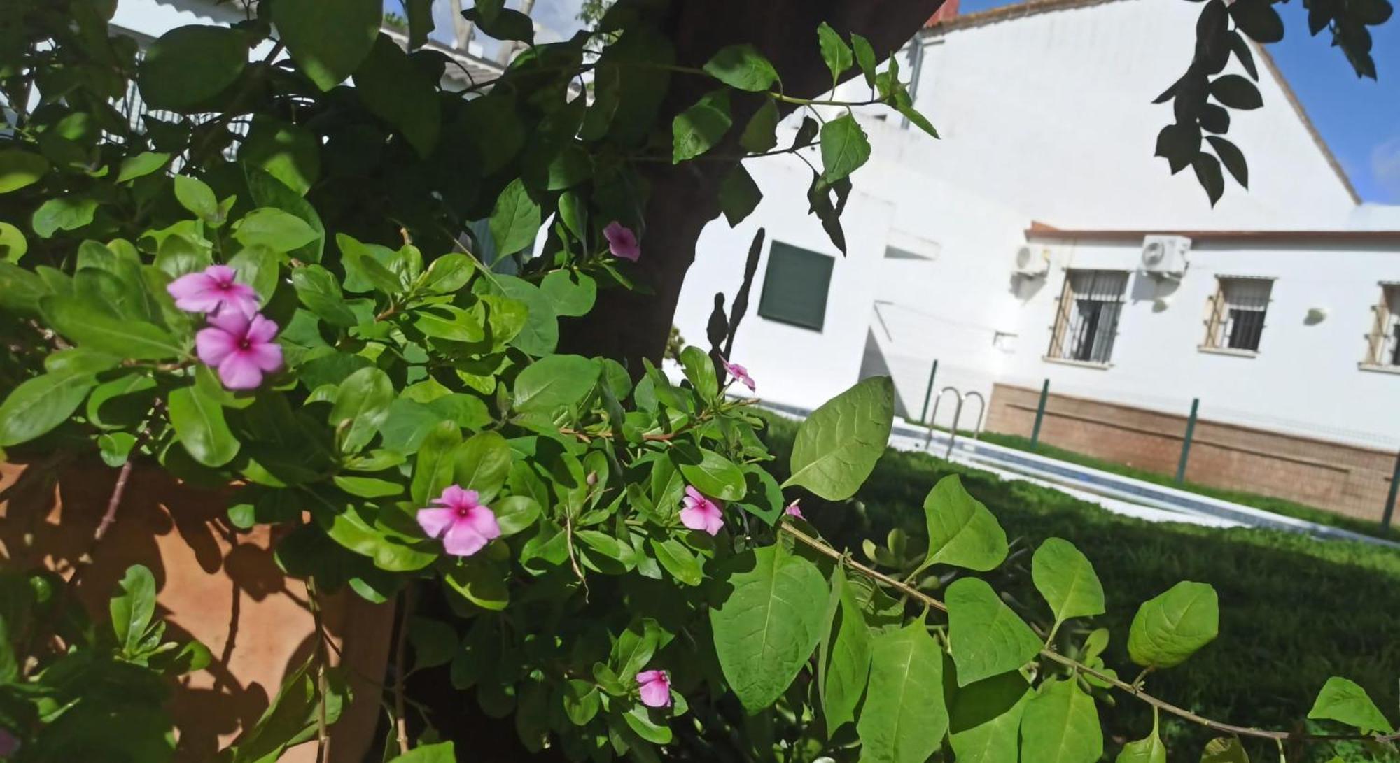 Casa Turquesa Villa Valencina de la Concepción Kültér fotó